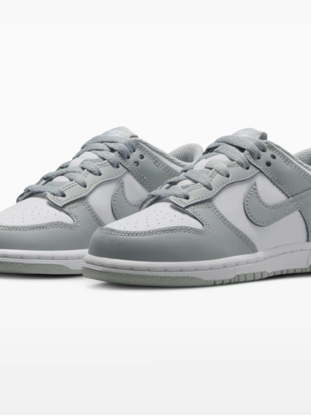 Nike Dunk Lows Kids